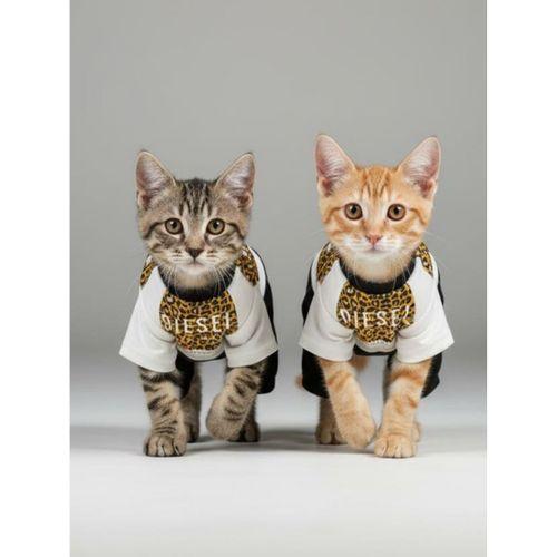 Diesel Leo Leopar Desenli Penye Kedi Tulum | Tüy Dökülmesini Azaltmaya Yardımcı | Yumuşak & Rahat Kedi Kıyafeti