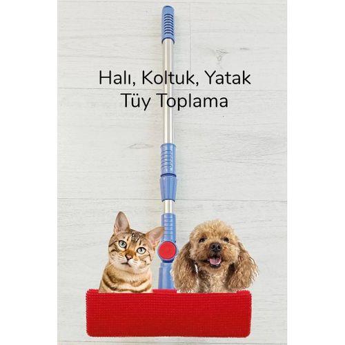 Kedi Köpek Sihirli Tüy Temizleme Fırçası 4 ü 1 Arada Döner Başlıklı
