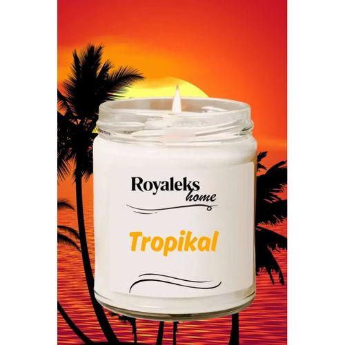 4 Adet Doğal Özel Seri Kokulu Dekoratif Kavanoz Mum 4X210 cc - Tropikal Set - RYL