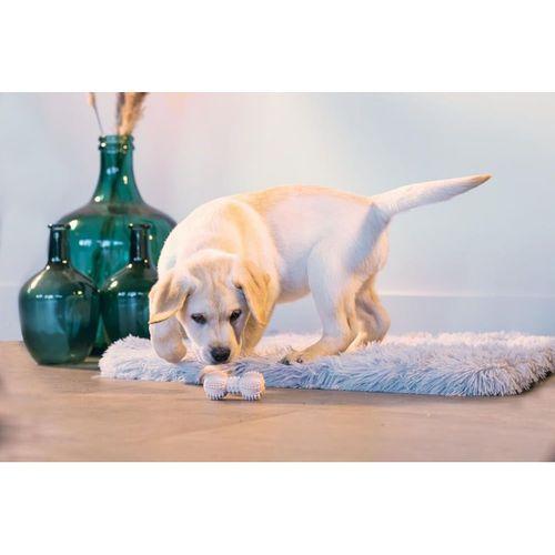 Beeztees Yavru Köpek Oyuncağı, Diş Kaşıma ve Masaj Dambıl, Kauçuk, Pembe, 9cm