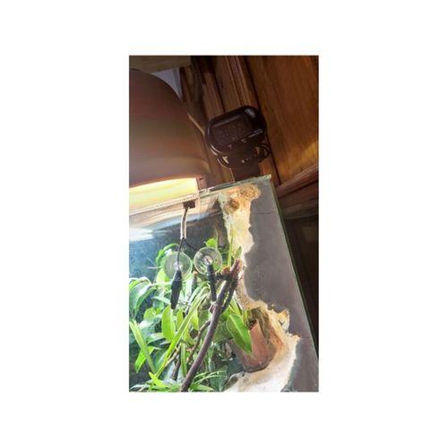 DT 7 Sıcaklık Nem Sensörü Konsolu (Bu ürün Sadece Plastik parçadır - Almadan Önce Soru Sorabilirsiniz)