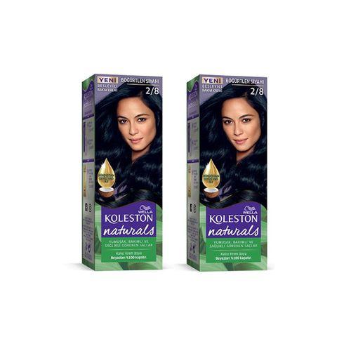 Naturals Saç Boyası Böğürtlen Siyahı 2/8 2x Paket