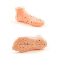 Ayak Akupunktur bölgesi Maketi