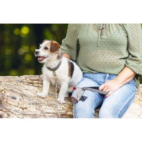 Beeztees Köpek Dışkı Toplama Poşeti Taşıma Çantası, Gri, 8x5x5cm