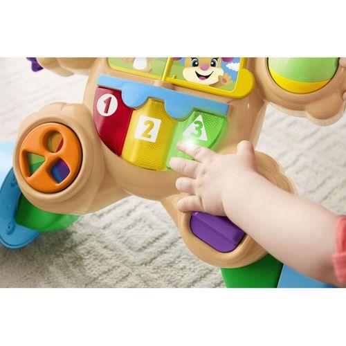 Fisher Price Fisher Price Eğitici Köpekçik Yürüteç (Türkçe) FTG10