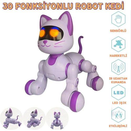 SH40194 U/K DANS EDEN ROBOT KEDİ