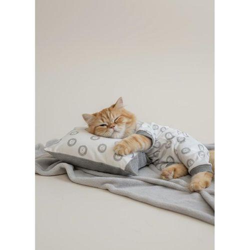 Soft Lion Kedi Uyku Seti | Penye Kedi Tulum ve Mini Yastık Takımı | Pamuklu | Tüy Dökülmesini Azaltır |