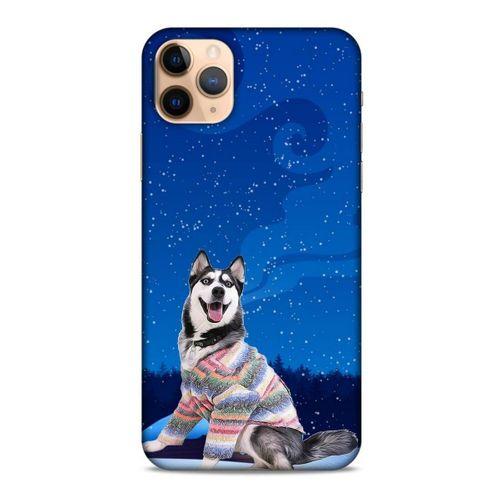 Apple Iphone 11 Pro Kılıf Köpek Kıyafetleri (45) Liquid Air Kılıf Husky Renkli Süveter