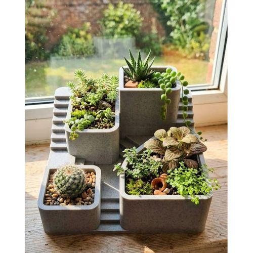 3d Baskı Kaktüs Saksı Seti Çok Bölmeli Modern Dekoratif Masaüstü Bitki Düzenleyici