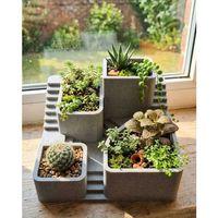 3d Baskı Kaktüs Saksı Seti Çok Bölmeli Modern Dekoratif Masaüstü Bitki Düzenleyici