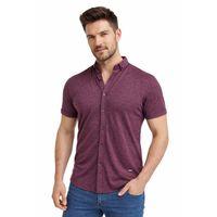 Erkek Dügmeli Polo Yaka Tişört R4310 BGL-ST02771