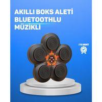 Müzikli Boks Duvar Paneli Akıllı Işık Sistemli Refleks ve Kondisyon Aleti