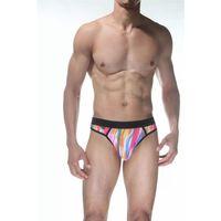 Renkli Erkek  Tanga Çamaşır