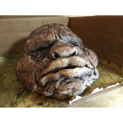 ANGler Maskesi - 5142029