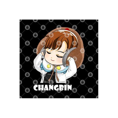 Stray Kıds Changbın Chıbı Kupa