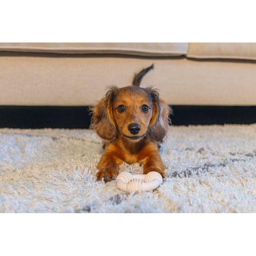 Beeztees Yavru Köpek Diş Oyuncağı, İçi Dolu Halka, Kauçuk, Pembe, 8cm