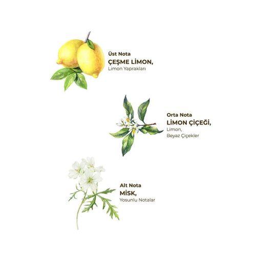 Eyüp Sabri Tuncer Kolonya Pet Şişe Sprey 150 ml Çeşme Limonu