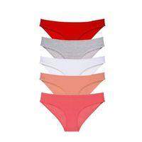 5 Adet Süper Eko Set Likralı Kadın Slip Külot 519