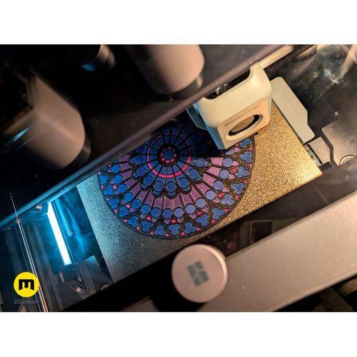 Notre Dame Vitray - 6904119