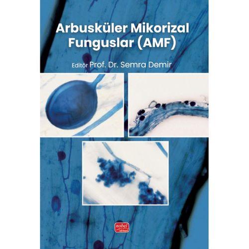 Arbusküler Mikorizal Funguslar (AMF)