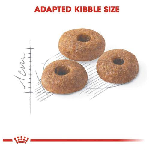 Royal Canin Fit 32 Yetişkin Kuru Kedi Maması 2 Kg