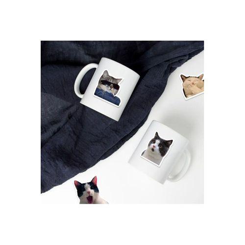 Çılgın Kediler Macbook Notebook Tablet Telefon Ajanda Laptop Defter Sticker Seti