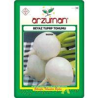 Beyaz Turp Tohumu (10 Gr) Arzuman