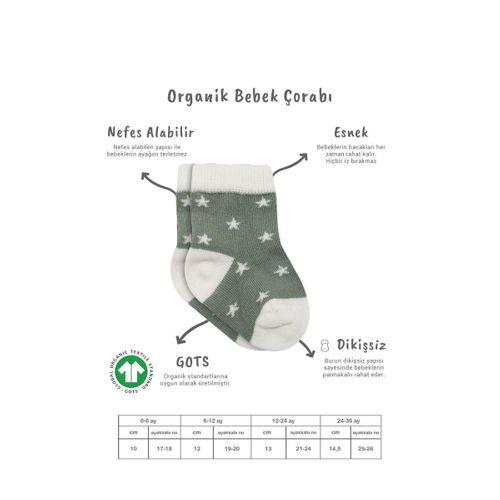 Bistyle Bistyle 3'Lü Penye Cute Stars Soket Çorap BS10115 Nil