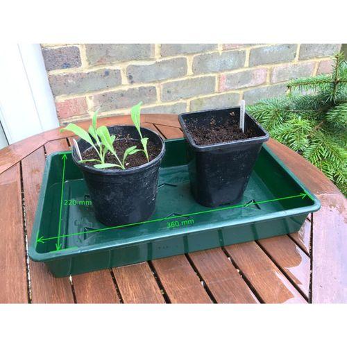 Tohum Tepsisi Üretici Yükseklik Uzatması (Bu ürün Sadece Plastik parçadır - Almadan Önce Soru Sorabilirsiniz)