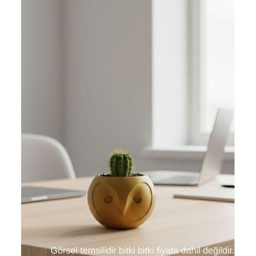 Gold Baykuş Figürlü Mini Dekoratif Saksı 6 Cm Masaüstü Ofis Dekoru