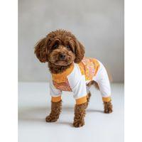 Never Give Up Köpek Tulum Pijama