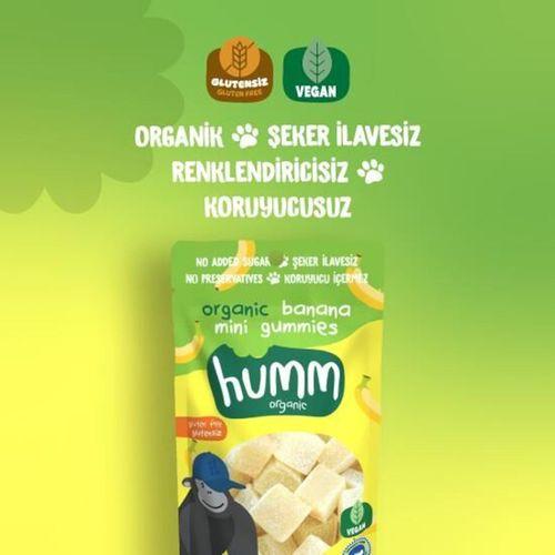 Humm Humm Organik Muzlu Glutensiz Vegan Mini Küpler 30gr