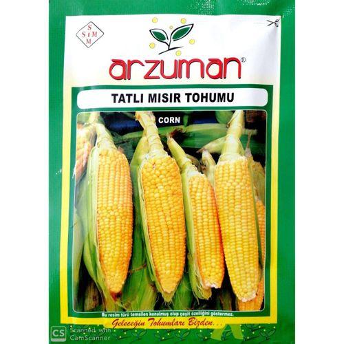 Hibrit Şeker-Tatlı Mısır Tohumu (25 Gr)
