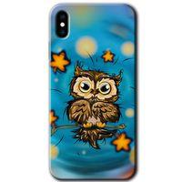 iPhone X Kılıf HD Desen Baskılı Arka Kapak + Mat Kobra Cam - Owl Bird Stars