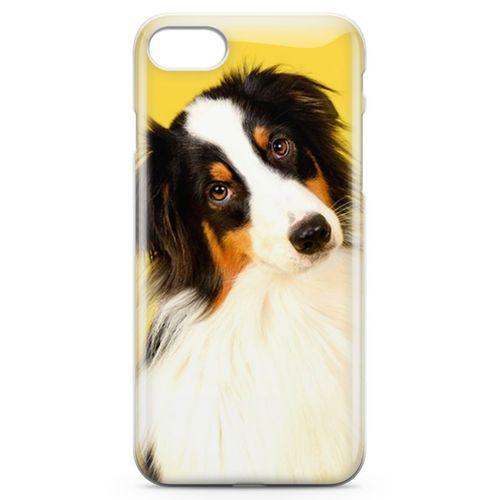 Apple iPhone 7 Kılıf Australian Shepard Arka Kapak Koruma Desenli Full Koruyucu