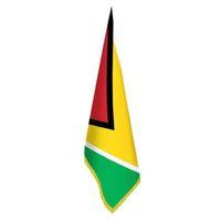Guyana Bayrağı - Ofis-makam-toplantı Odaları - Saçaklı Makam Bayrağı