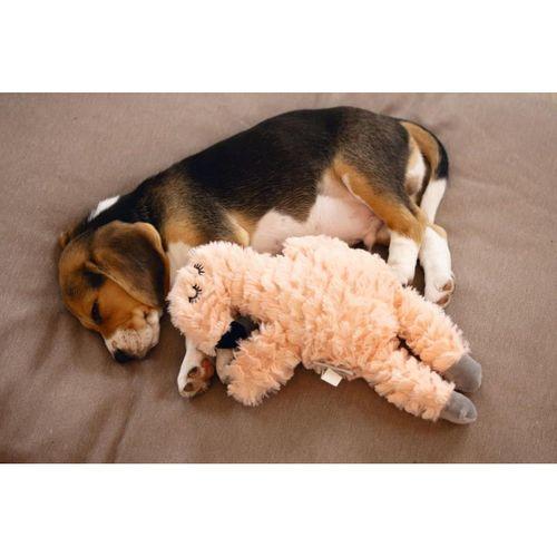 Beeztees Yavru Köpek Oyuncağı, Kalp Atışlı, Flamingo, Peluş, Pembe, 30x21x5cm