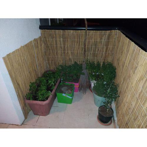 özgazi 120 Cm X 6 Metre Kamış Hasır Bahçe Çiti Balkon Çiti Gölgelik Ve Dekorasyon