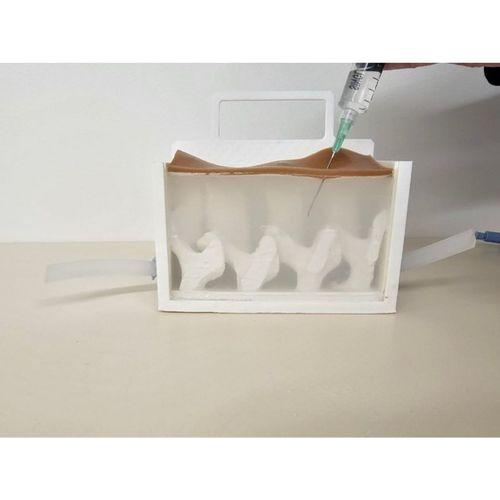 Bel Omuriliği Puncture Modeli (Bu ürün Sadece Plastik parçadır - Almadan Önce Soru Sorabilirsiniz)