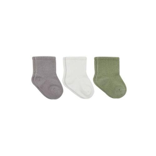 Koala Boy 3'lü Penye Soket Çorap 10133 Gri
