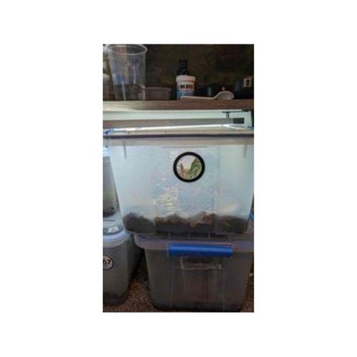 70mm Vivarium Havalandırma 2 75 (Bu ürün Sadece Plastik parçadır - Almadan Önce Soru Sorabilirsiniz)