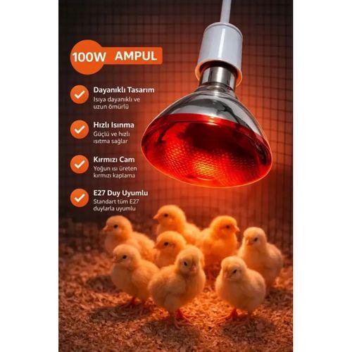 100w Isıtıcı Ampul Kırmızı Isı Lambası Civciv Kümes Kuluçka E27 Duy Isıtma Ampulü