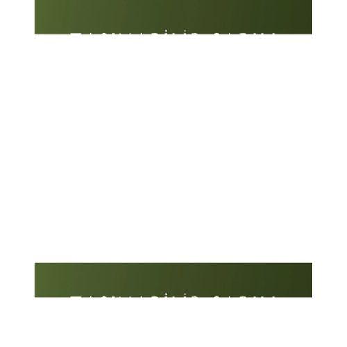 Araç İçi Ve Ev İçin Güçlü Hava Üfleyici Toz Temizleme Makinesi