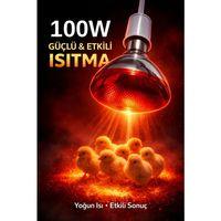 100w Isıtıcı Ampul Kırmızı Isı Lambası Civciv Kümes Kuluçka E27 Duy Isıtma Ampulü