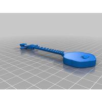 Chun_kam__a_long-necked_lute_or_banjo__5145458