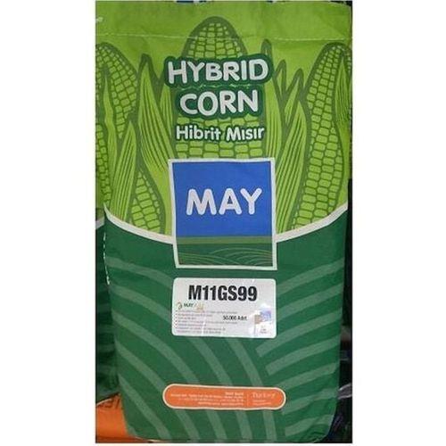 May M11GS99 Süt Mısır Tohumu 50.000 Tohum