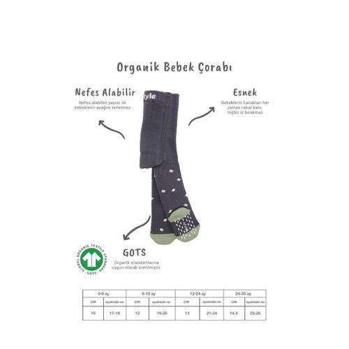 Bistyle Bistyle Tekli Puan Kaymaz Havlu Külotlu Çorap BS50502 Antrasit
