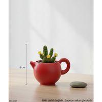 Kırmızı Caydanlik Seklinde Mini Dekoratif Saksi 6 Cm Masa Ustu Ofis Dekoru
