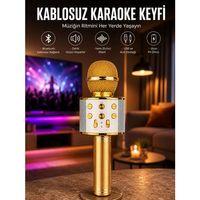 Taşınabilir Bluetooth Karaoke Mikrofon: Hafıza Kart Girişli, Etkileyici Performans