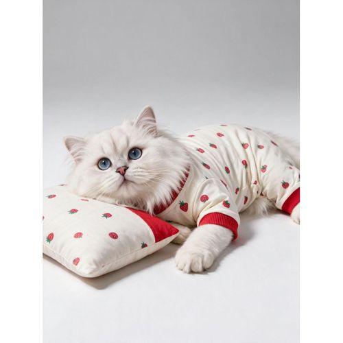 Tatlı Çilek Kedi Uyku Seti | Penye Kedi Tulum ve Mini Yastık Takımı | Pamuklu | Tüy Dökülmesini Azaltır |